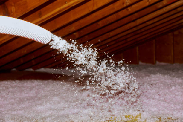 Best Insulation Inspection Services  in University At Buffalo, NY