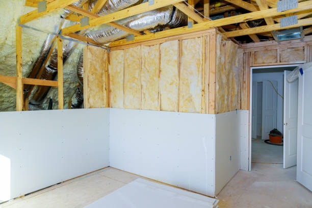 Best Insulation Contractor Near Me  in University At Buffalo, NY