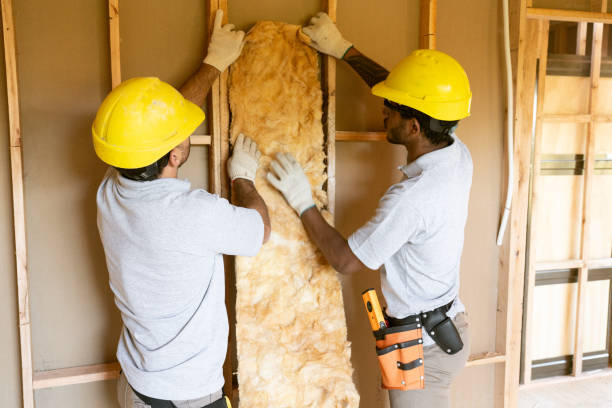 Best Insulation for New Construction  in University At Buffalo, NY